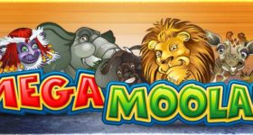 Mega Moolah Mega Moolah slot