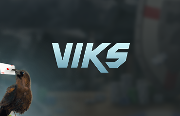 Viks Casino